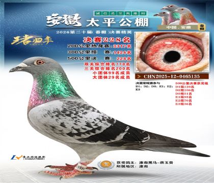 安徽太平决赛228名