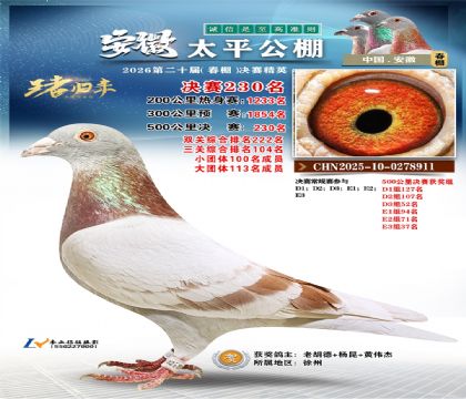 安徽太平决赛230名