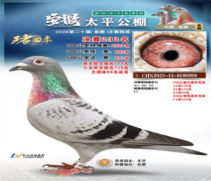 安徽太平决赛232名