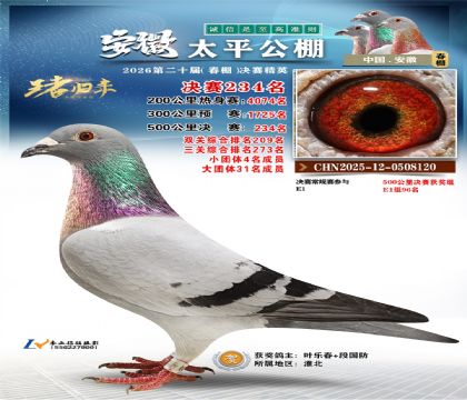 安徽太平决赛234名