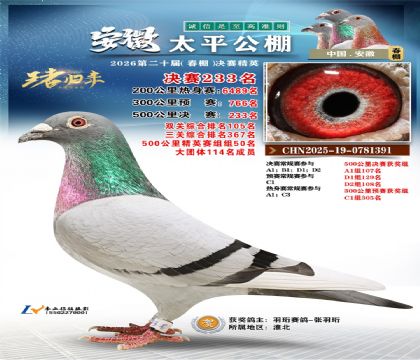 安徽太平决赛233名