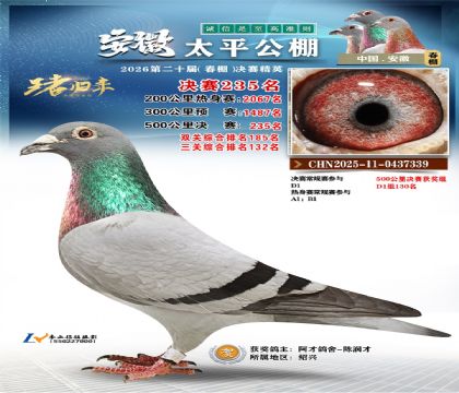 安徽太平决赛235名