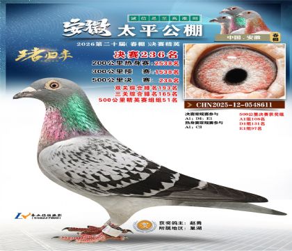 安徽太平决赛236名