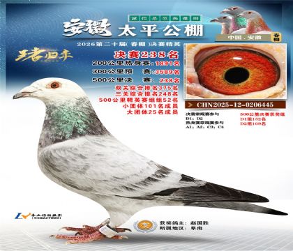 安徽太平决赛238名