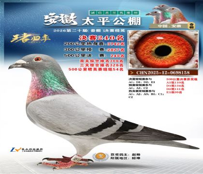 安徽太平决赛240名