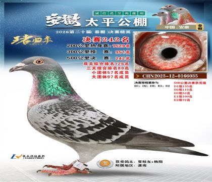 安徽太平决赛242名