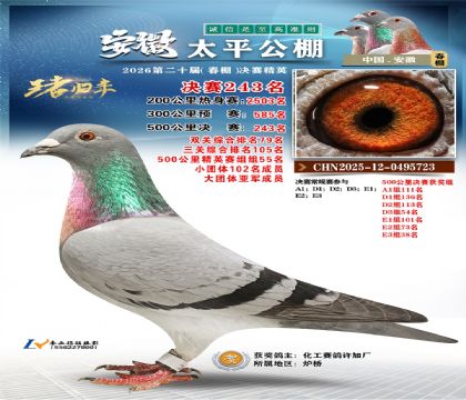 安徽太平决赛243名