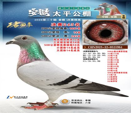 安徽太平决赛245名