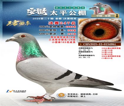 安徽太平决赛247名