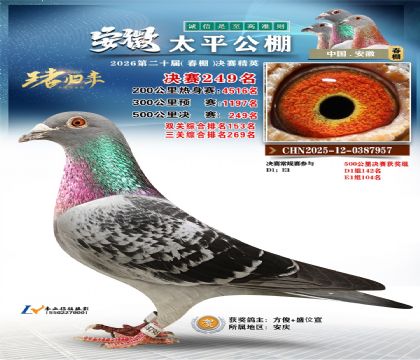 安徽太平决赛249名