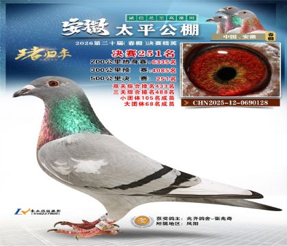 安徽太平决赛251名