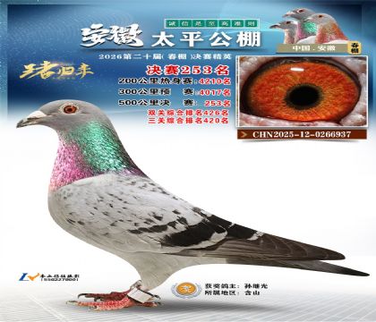 安徽太平决赛253名