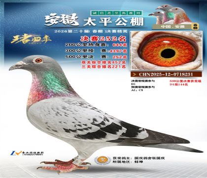 安徽太平决赛252名