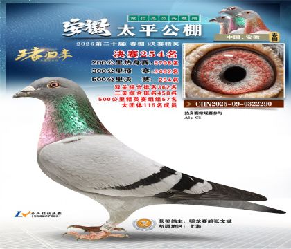 安徽太平决赛254名