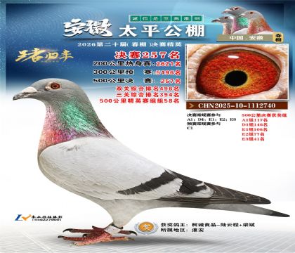 安徽太平决赛257名