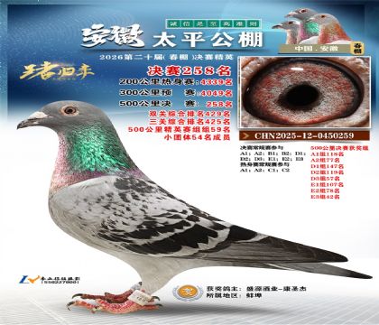 安徽太平决赛258名