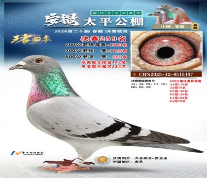 安徽太平决赛259名