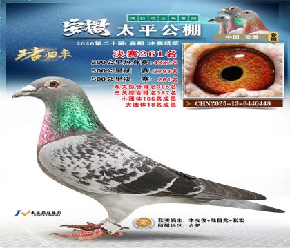 安徽太平决赛261名