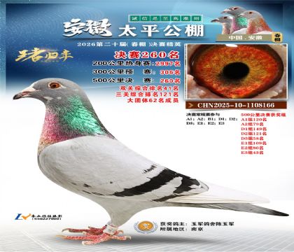 安徽太平决赛260名