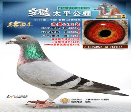 安徽太平决赛262名