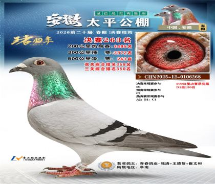 安徽太平决赛263名