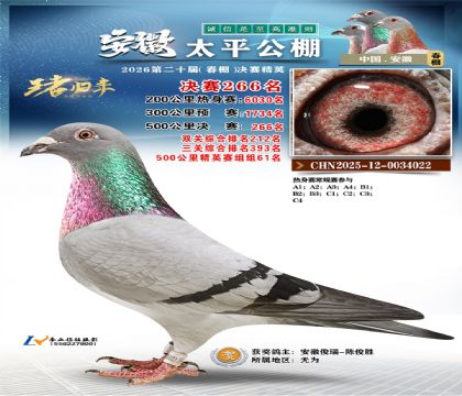 安徽太平决赛266名