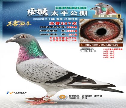 安徽太平决赛267名