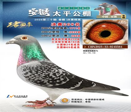 安徽太平决赛268名