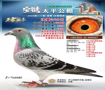 安徽太平决赛269名