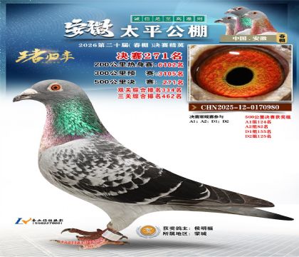 安徽太平决赛271名