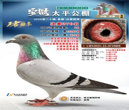 安徽太平决赛270名