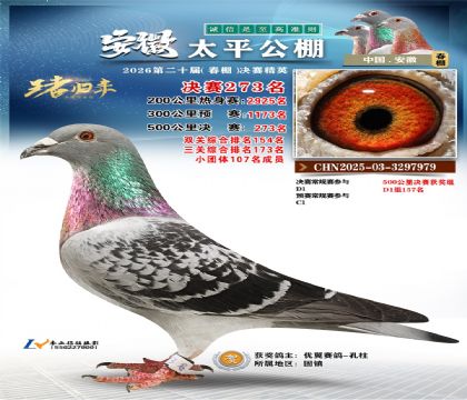 安徽太平决赛273名