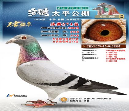 安徽太平决赛274名