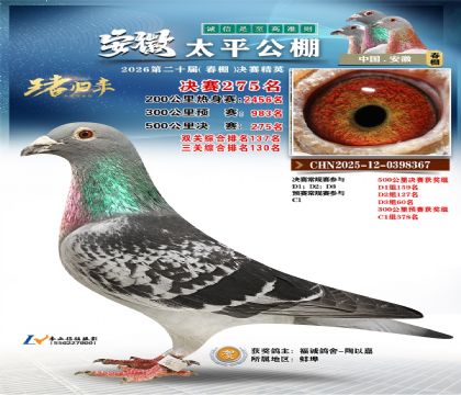 安徽太平决赛275名