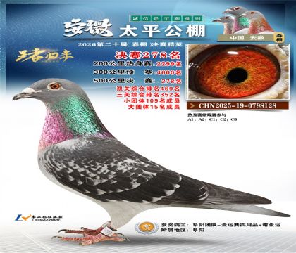 安徽太平决赛278名