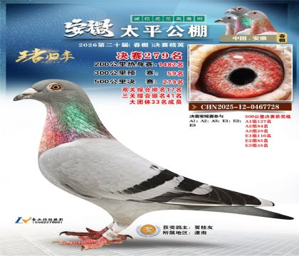 安徽太平决赛279名