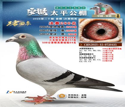 安徽太平决赛280名