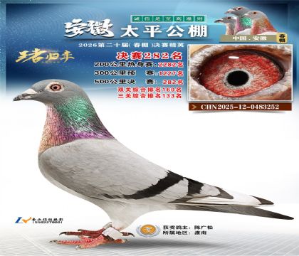 安徽太平决赛282名