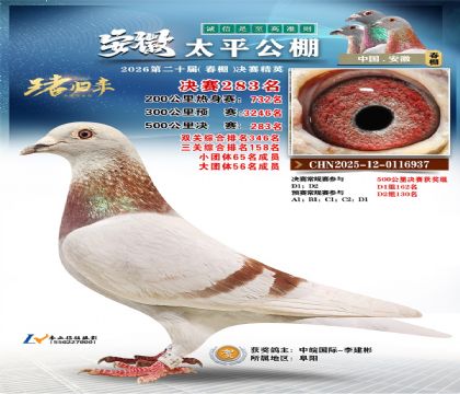 安徽太平决赛283名