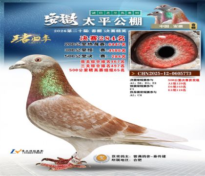 安徽太平决赛284名