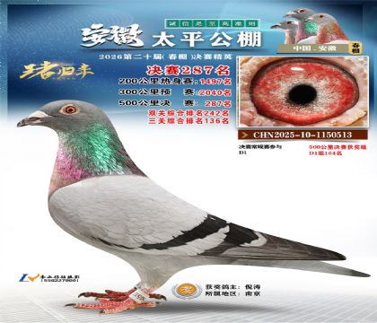 安徽太平决赛287名