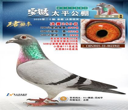 安徽太平决赛289名