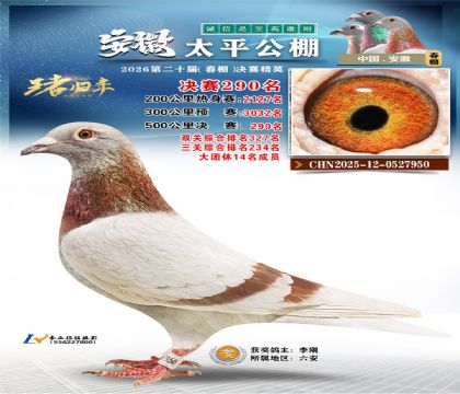 安徽太平决赛290名