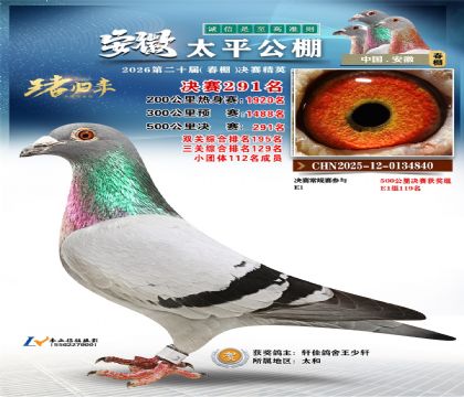 安徽太平决赛291名