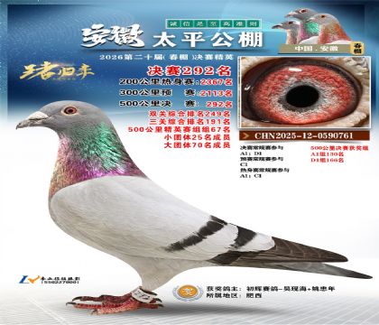 安徽太平决赛292名