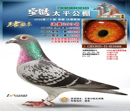 安徽太平决赛293名