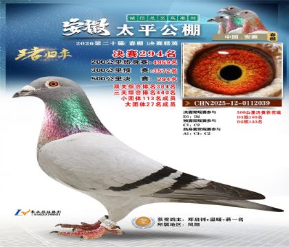 安徽太平决赛294名