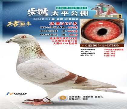 安徽太平决赛297名