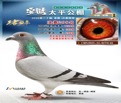 安徽太平决赛298名