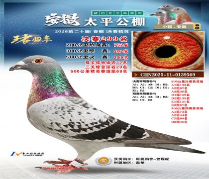 安徽太平决赛299名